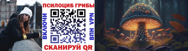 где купить наркоту Малмыж мега рабочий сайт Псилоцибиновые грибы Cubensis